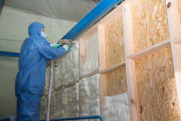 Best Professional Insulation Contractor  in Bear Creek Ranch, TX